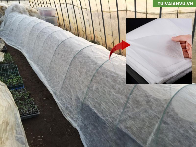 Vải Không Dệt Nông Nghiệp: Bảo Vệ Cây Trồng, Giữ Ẩm, Chống Cỏ Dại