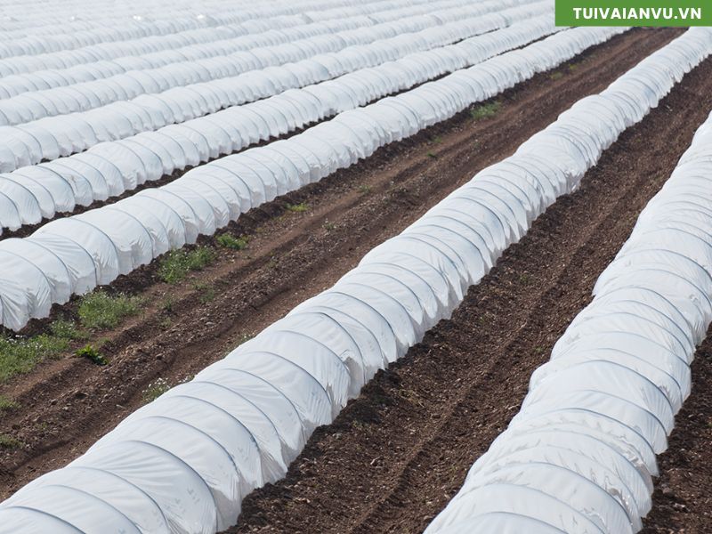 Ứng dụng vải không dệt nông nghiệp trong các dự án eco-farm
