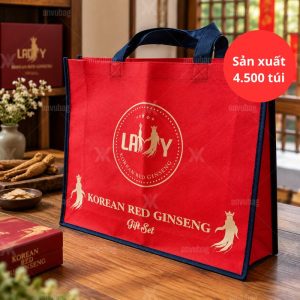 dự án thực tế sản xuất túi Quà Hồng Sâm Hàn Quốc tại An Vũ