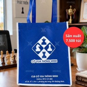 dự án thực tế sản xuất túi Cờ Vua Thông Minh tại An Vũ