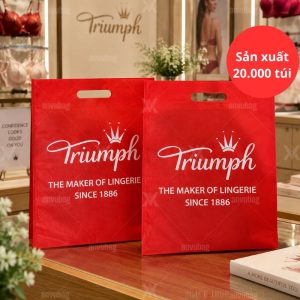 dự án thực tế sản xuất túi Triumph tại An Vũ